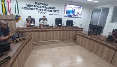 SAÚDE E CULTURA DOMINAM DEBATE EM REUNIÃO CONJUNTA DE COMISSÕES