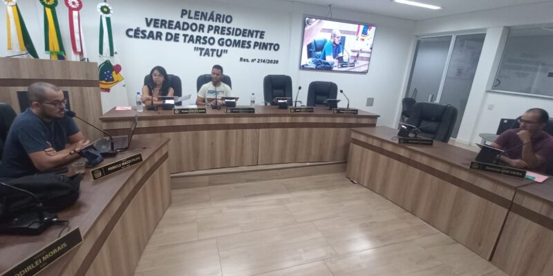 SAÚDE E CULTURA DOMINAM DEBATE EM REUNIÃO CONJUNTA DE COMISSÕES