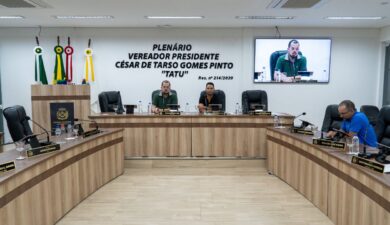 COMISSÕES PERMANENTES DEBATEM MEDIDAS PREVENTIVAS DE SEGURANÇA NAS ESCOLAS