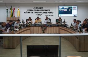 29ª REUNIÃO ORDINÁRIA APROVA DECRETO QUE SUSTA PORTARIA DO EXECUTIVO